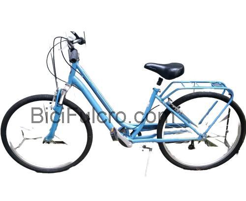 Schwinn Radiant scheda tecnica e recensioni